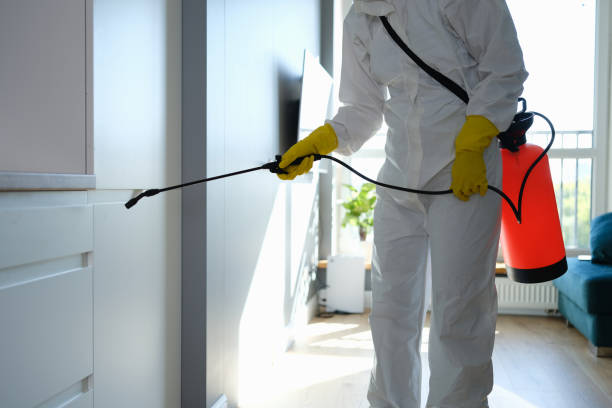 Best Crawl Space Mold Remediation in Craigsville, WV