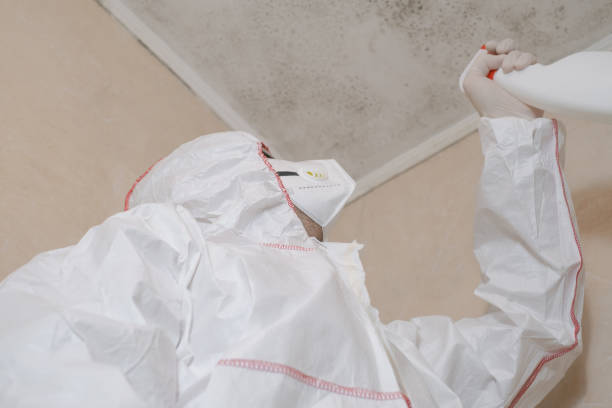 Best Mold Testing and Inspection Services in Craigsville, WV